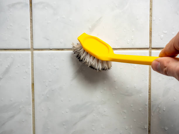 Best Mold Remediation  in Bardonia, NY