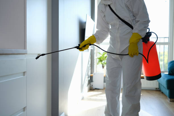Best Toxic Mold Removal  in Bardonia, NY
