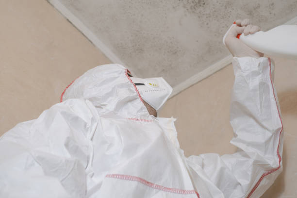 Best Mold Damage Repair  in Bardonia, NY