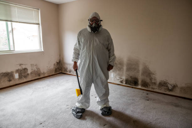 Certified Mold Removal in Bardonia, NY